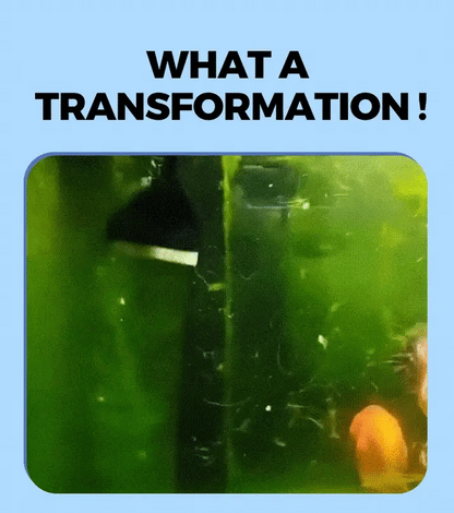 💧Powerful water purification tablet for aquariums 🚀