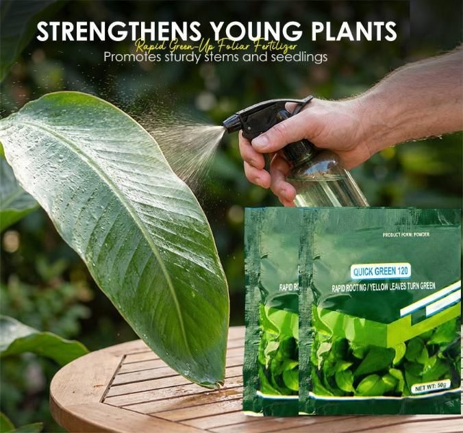 Rapid Green-Up Foliar Fertilizer 50gm Each (Pack of 1)