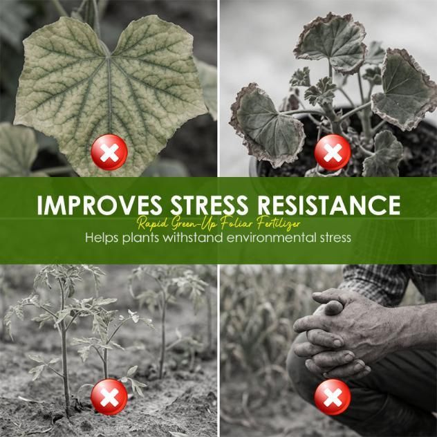 Rapid Green-Up Foliar Fertilizer 50gm Each (Pack of 1)