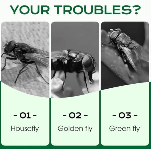 Multi-Scene Fast-Acting Fly Killer (Pack of 2)