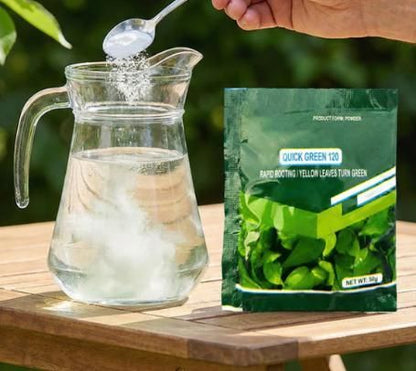 Rapid Green-Up Foliar Fertilizer 50gm Each (Pack of 1)