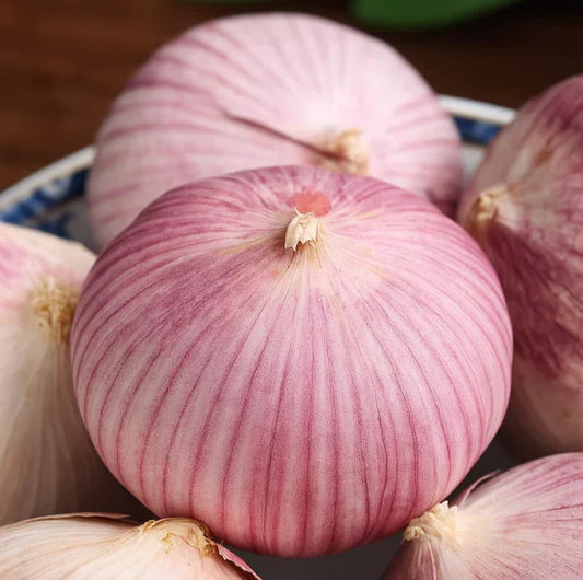 Garlic seeds ( Pack of 20) + Free Plant Growth Serum