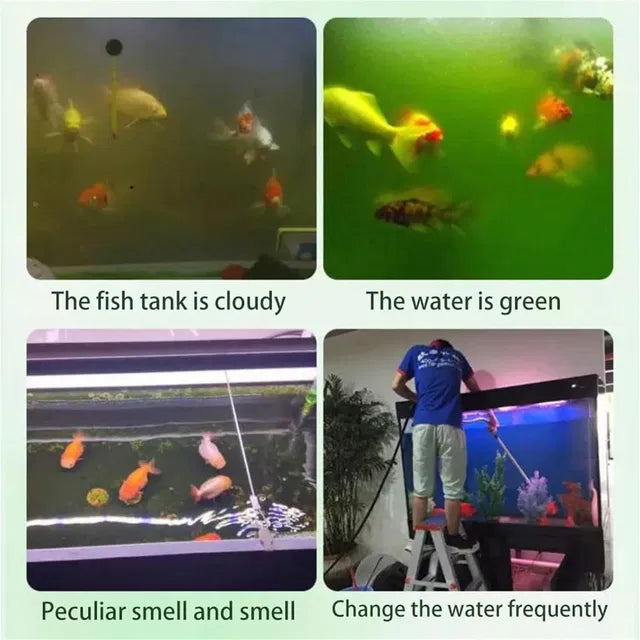 💧Powerful water purification tablet for aquariums 🚀