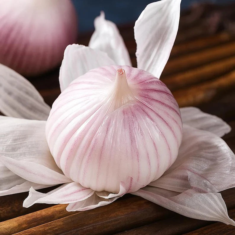 Garlic seeds ( Pack of 20) + Free Plant Growth Serum