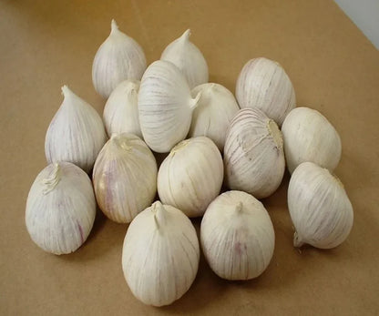 Garlic seeds ( Pack of 20) + Free Plant Growth Serum